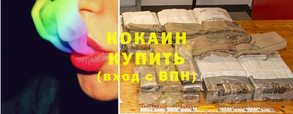 винт Дмитриев