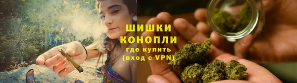 винт Дмитриев