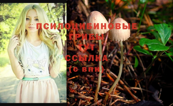 МДПВ Елизово