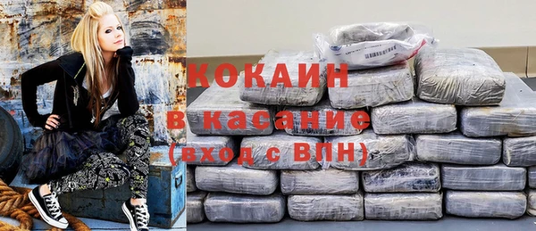 винт Дмитриев