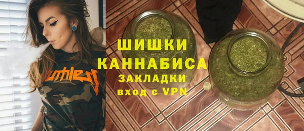 МДПВ Елизово