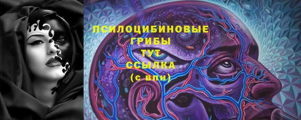 винт Дмитриев